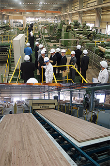 国産材へ転換、一貫工場を建設