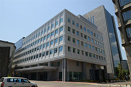 道議会新庁舎、内装に道産材
