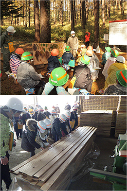 浦幌小学校が森林体験