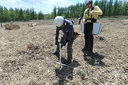 コンテナ苗の植付作業検証