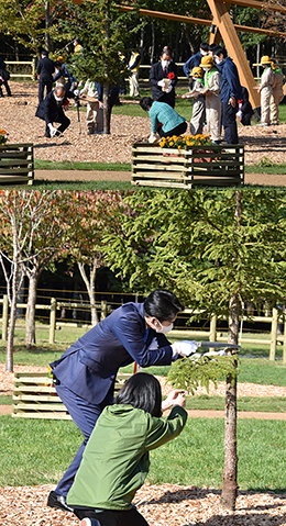 木育で未来へつなぐ緑の森