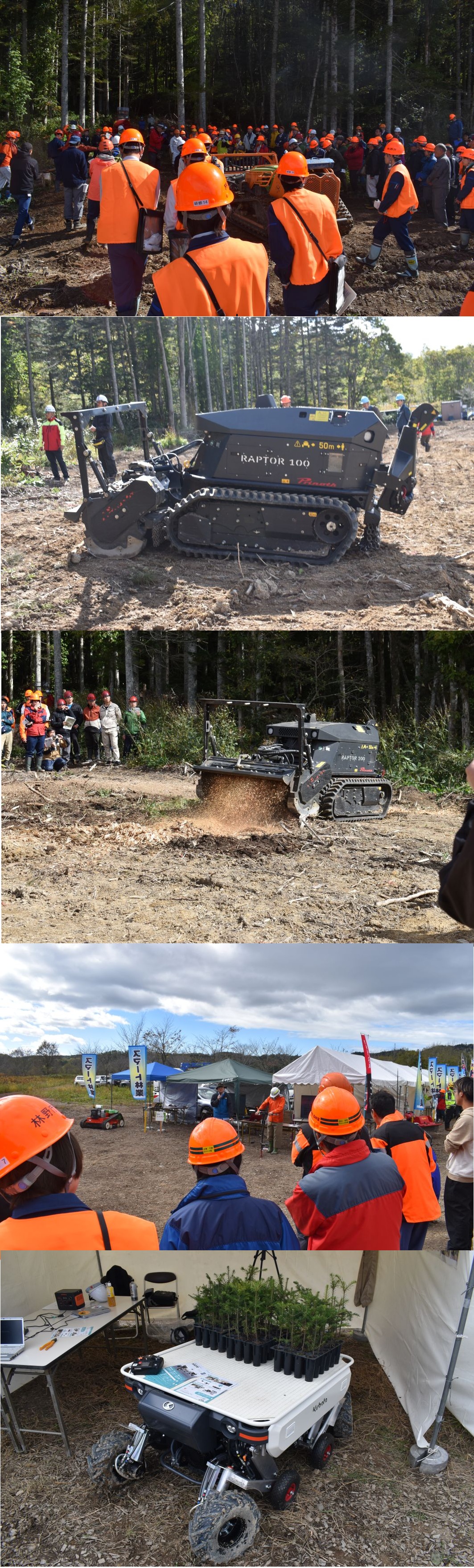 �h�b�s�ŃX�}�[�g������k�̗ыƌ��n�����������