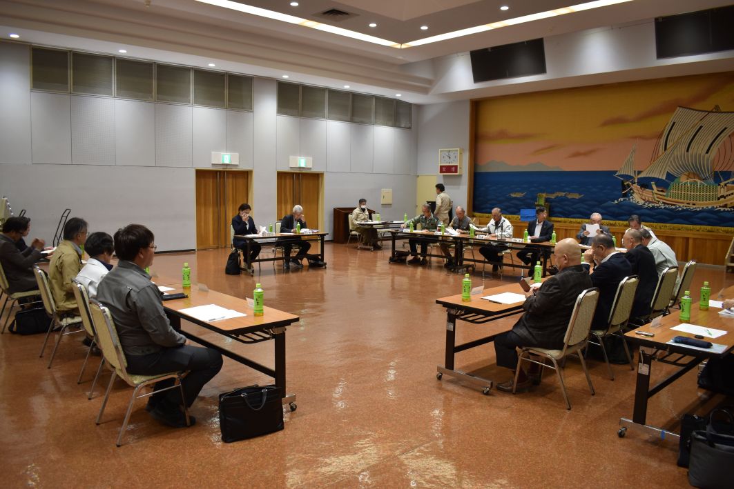 �����n�斢���p�o�C�I�}�X�������c�������