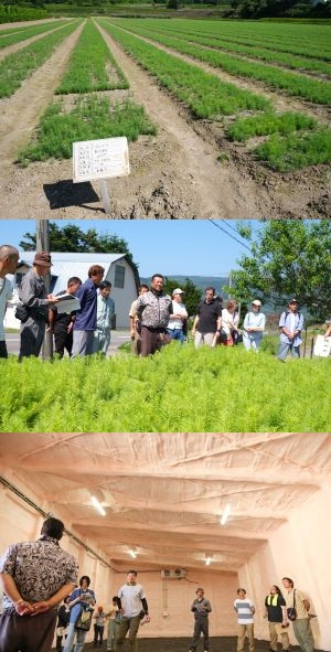 道苗組現地研修